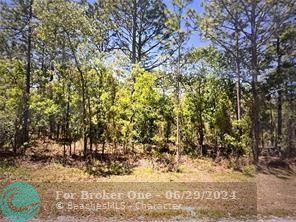 0 129 Terrace RD, Other City - In The State Of Florida, FL 34432