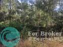 0 Childs Rd, Other City - In The State Of Florida, FL 32148