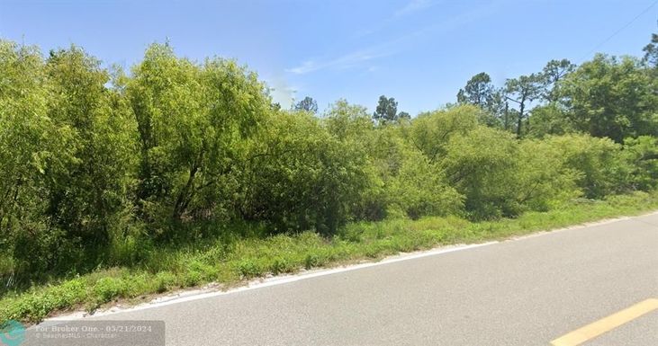 0 McClellan Road, Frostproof, Other City - In The State Of Florida, FL 33843