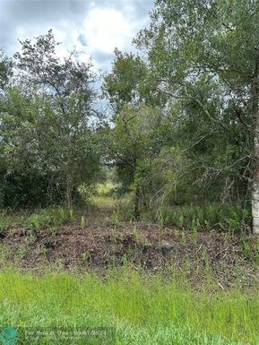 17376 256TH, Okeechobee, FL 34972