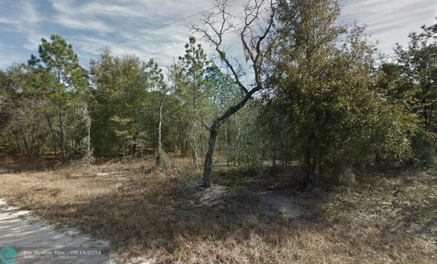 000 155 CT, Williston, FL 32696